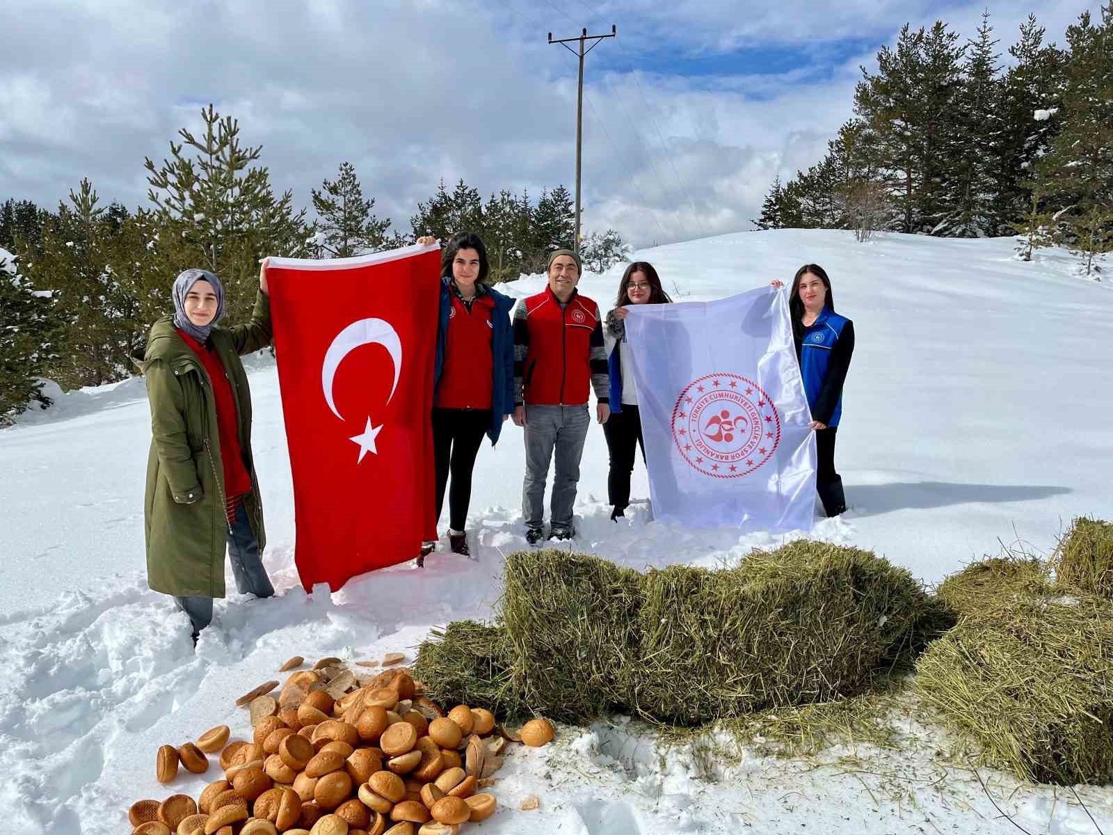 Ilgaz Dağı’nda hayvanlar için yiyecek bırakıldı
