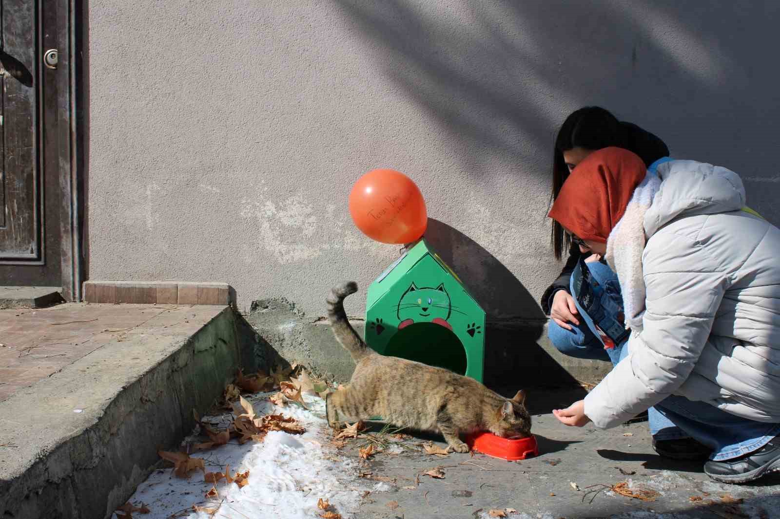 Öğrencilerden sokak hayvanlarına şefkat