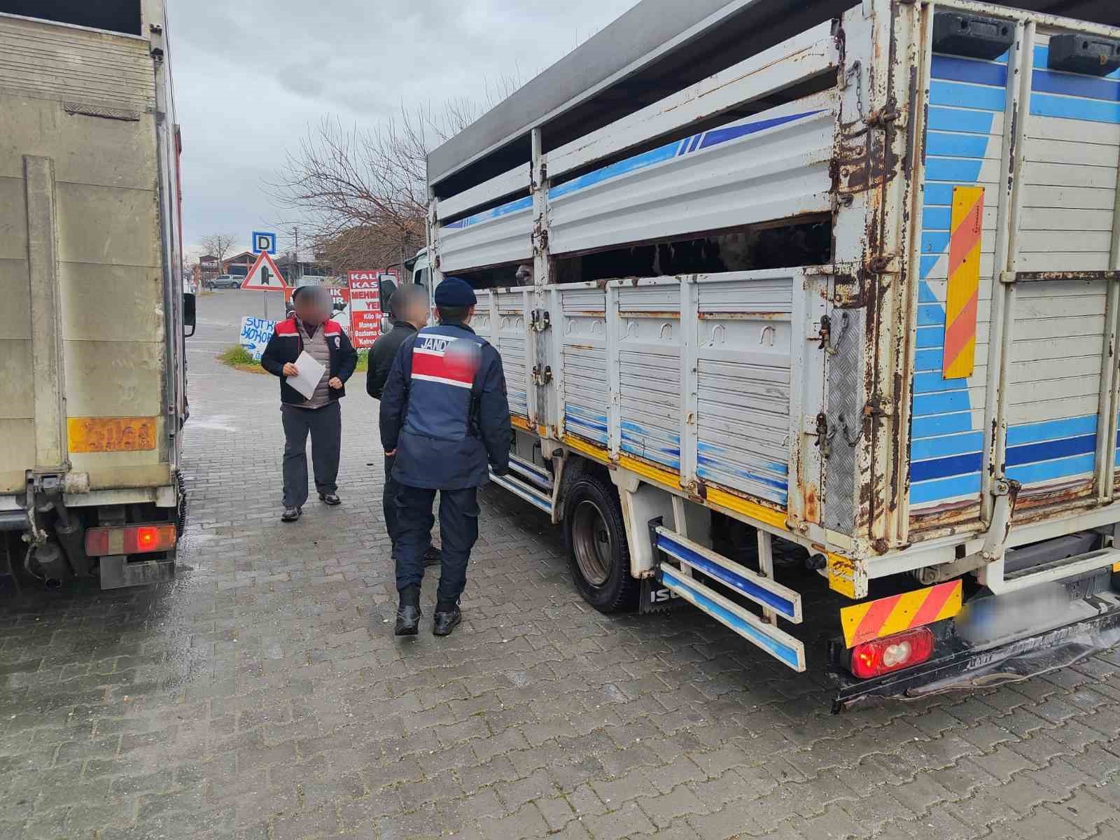 Kuşadası’nda canlı hayvan taşıyan araçlar denetlendi
