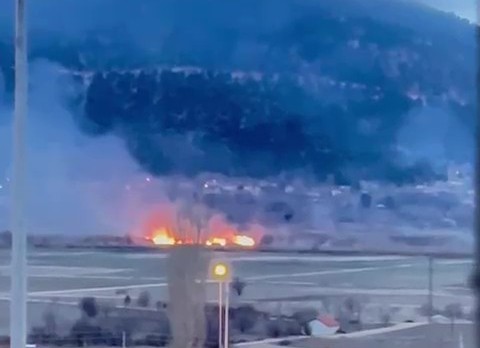 Ateşe verilen sazlıklarda binlerce canlı telef oldu