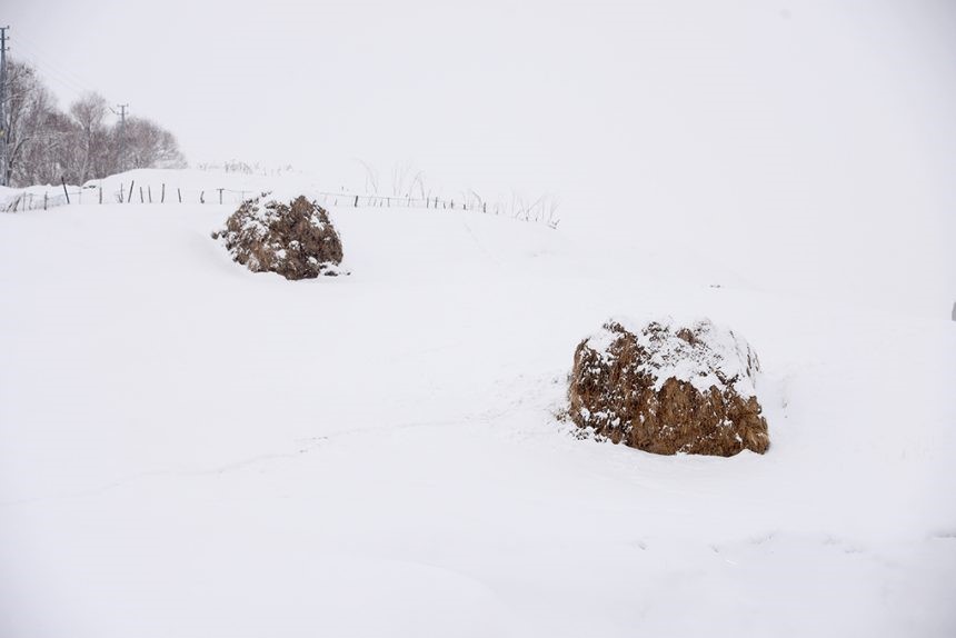 Diyadin’de murat nehri buz tuttu