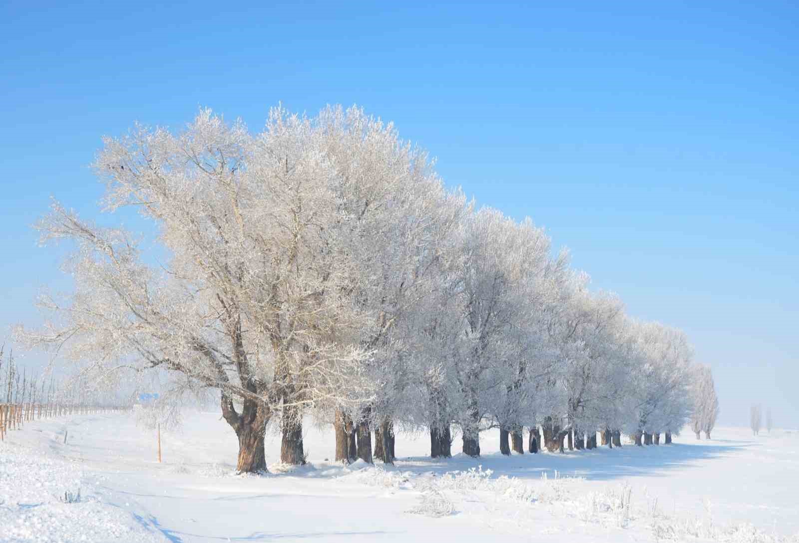 Uzmanlardan buzlanma, don ve çığ uyarısı