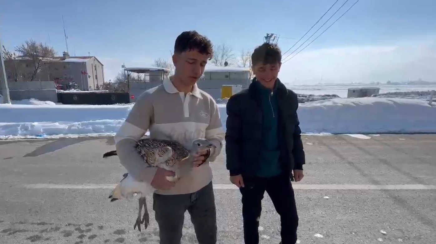 Duyarlı kardeşler yaralı toy kuşunu yetkililere teslim etti
