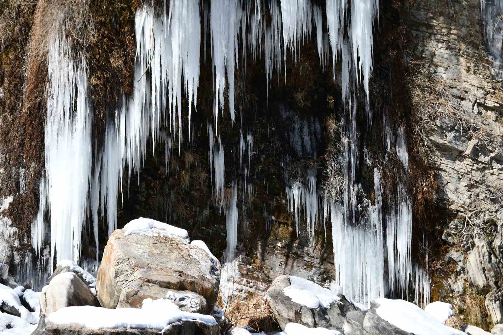 Şırnak’ta şelale ve dağlık alanlar buz kesti
