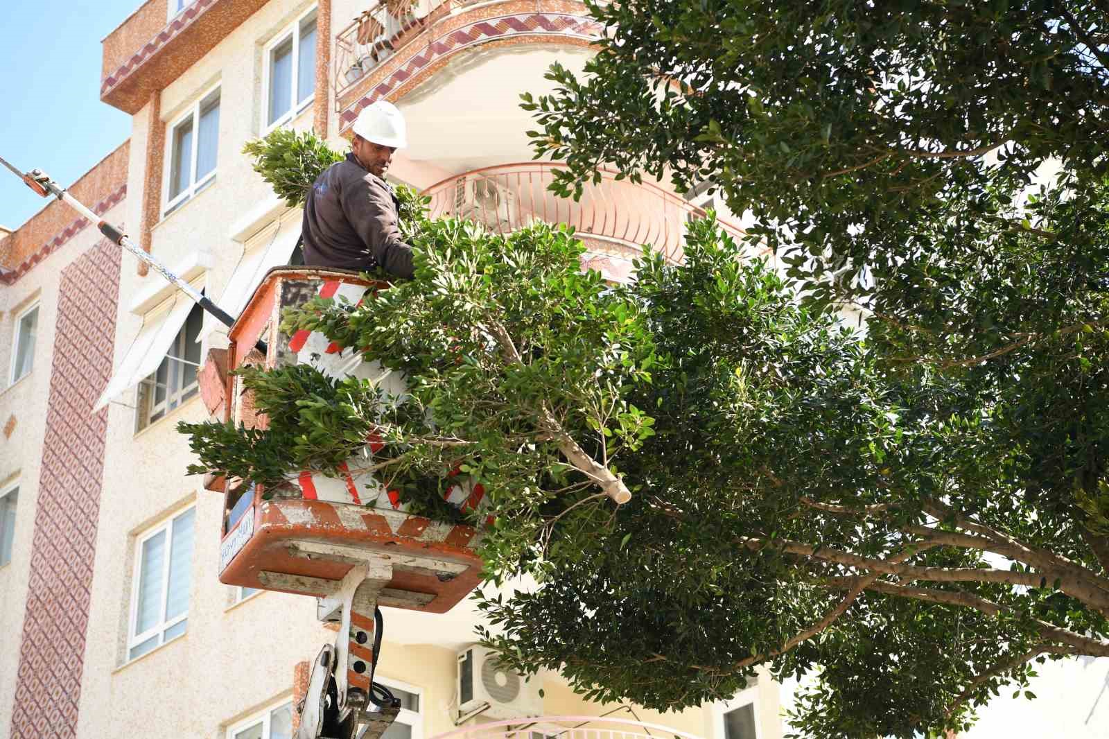 Konyaaltı Belediyesi’nden cami bahçelerinde Ramazan temizliği
