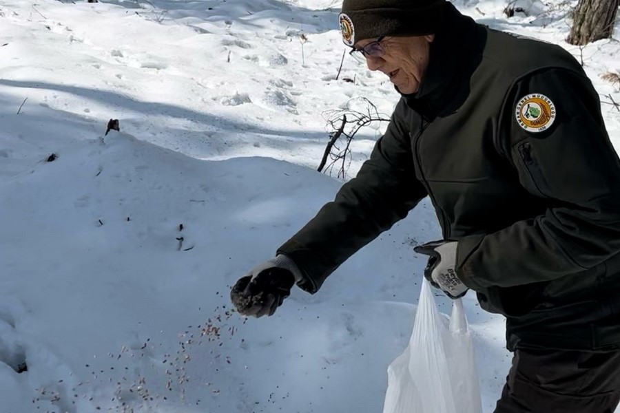 Bolu&rsquo;nun ormanlarına tohum takviyesi
