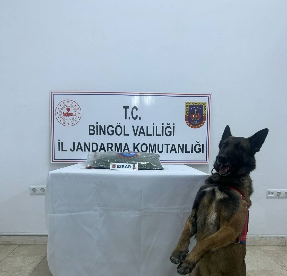 Bingöl’de uyuşturucu madde ele geçirildi, aranan 8 şüpheli yakalandı