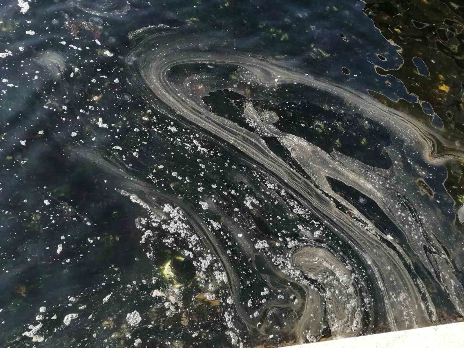 Moda Sahili’nde görülen denizanası müsilajı havadan görüntülendi