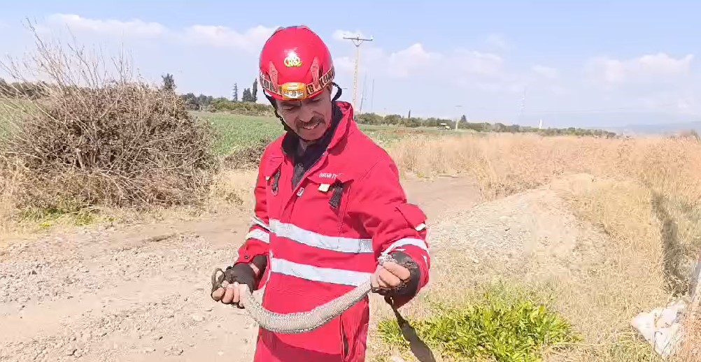 Evin bahçesine giren yılanı itfaiye yakaladı