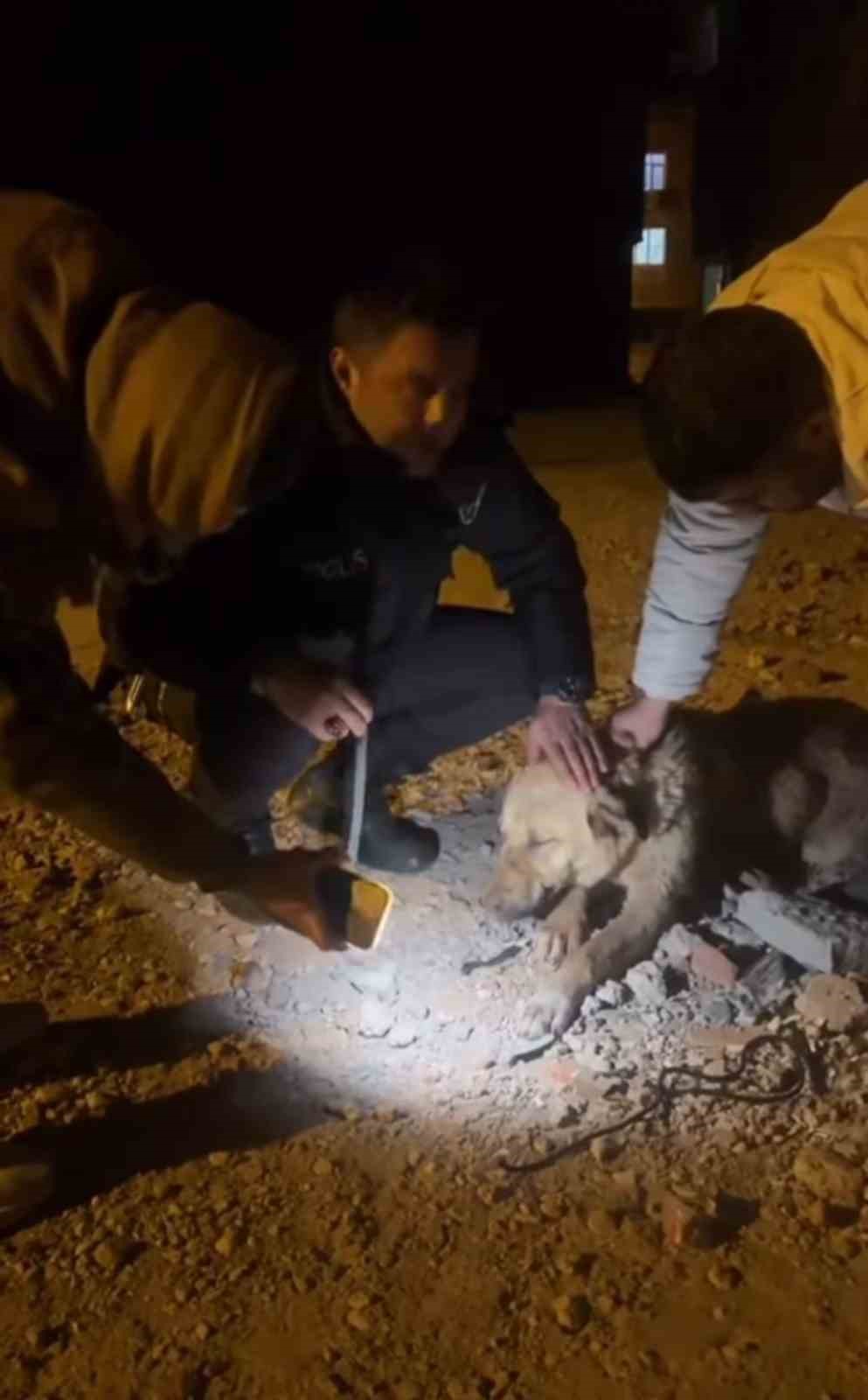 Diyarbakır&rsquo;da ağzı bağlanan k&ouml;peği, polis ve vatandaşlar kurtardı
