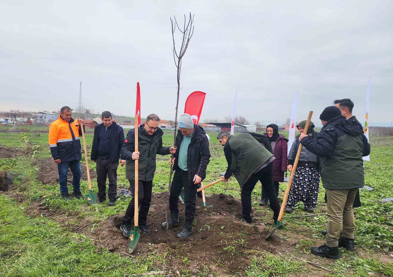 Balıkesir&rsquo;de ağa&ccedil;landırma &ccedil;alışmaları devam ediyor
