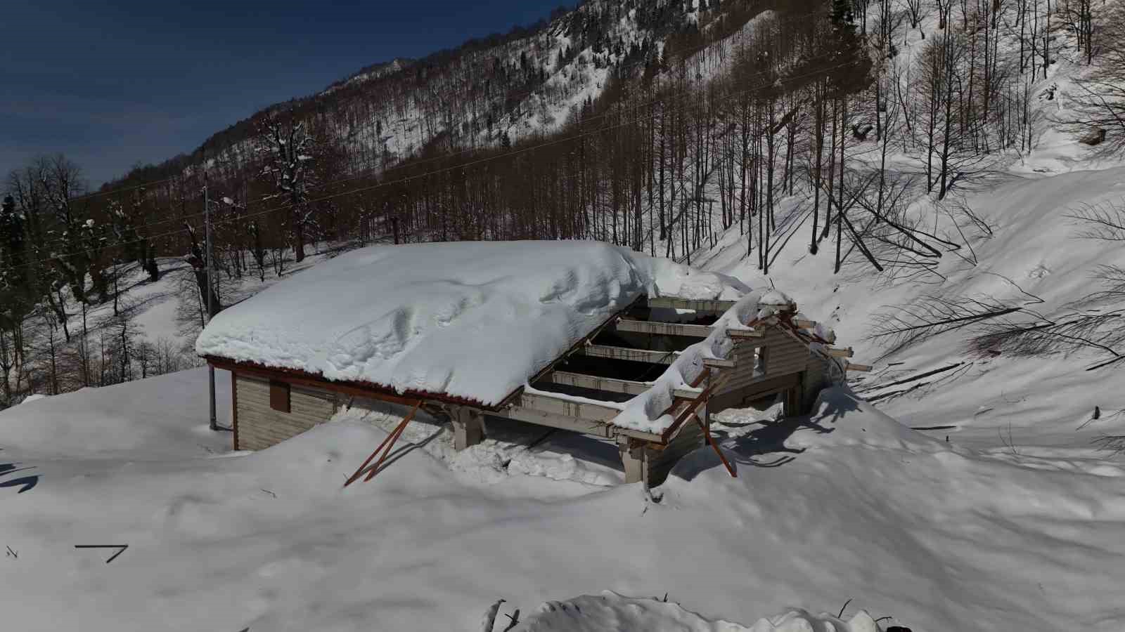 Artvin’de çığın düştüğü Macahel’deki Karayolları bakım onarım tesislerine ekipler ulaştı
