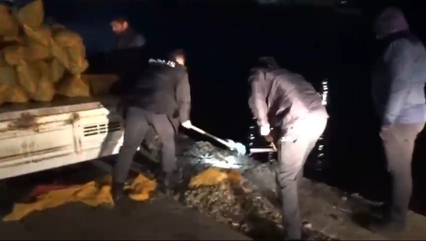 Samsun&rsquo;da ka&ccedil;ak avlanan 3,5 ton midye ele ge&ccedil;irildi
