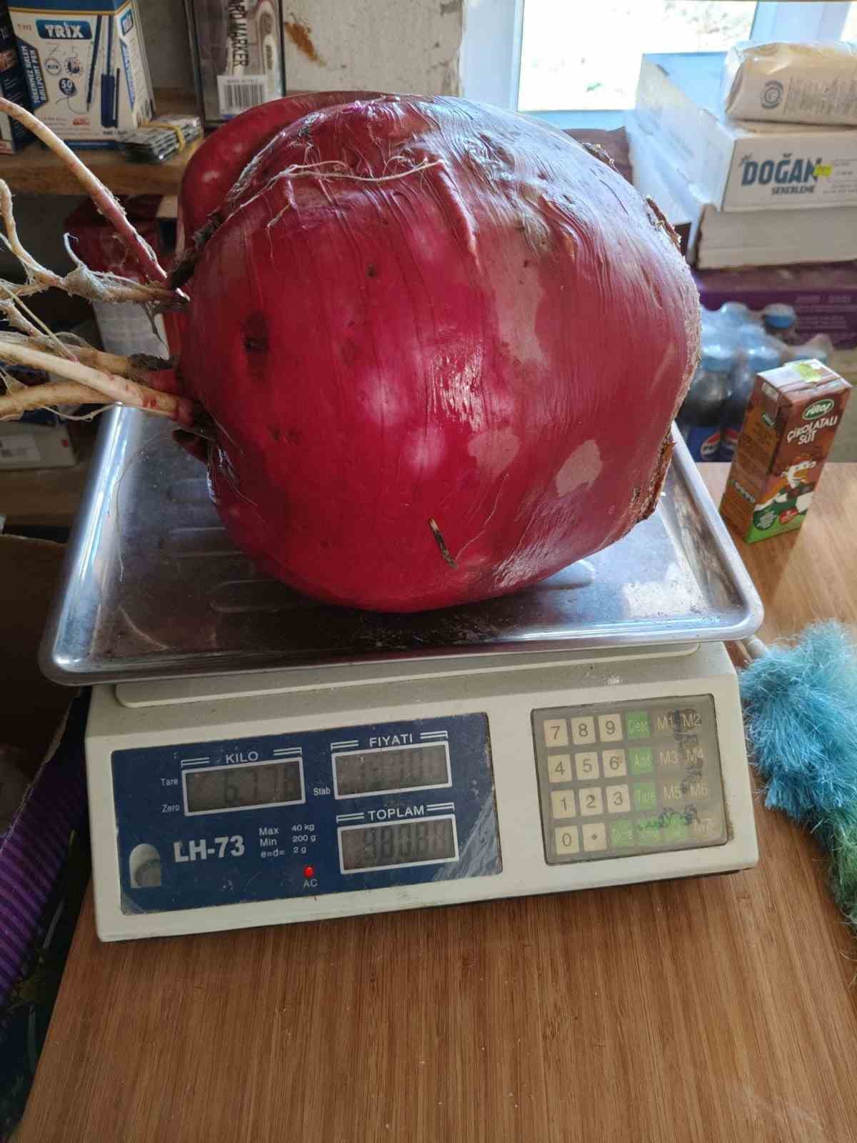 6 kilo 700 gram dev turp g&ouml;renleri şaşırtıyor
