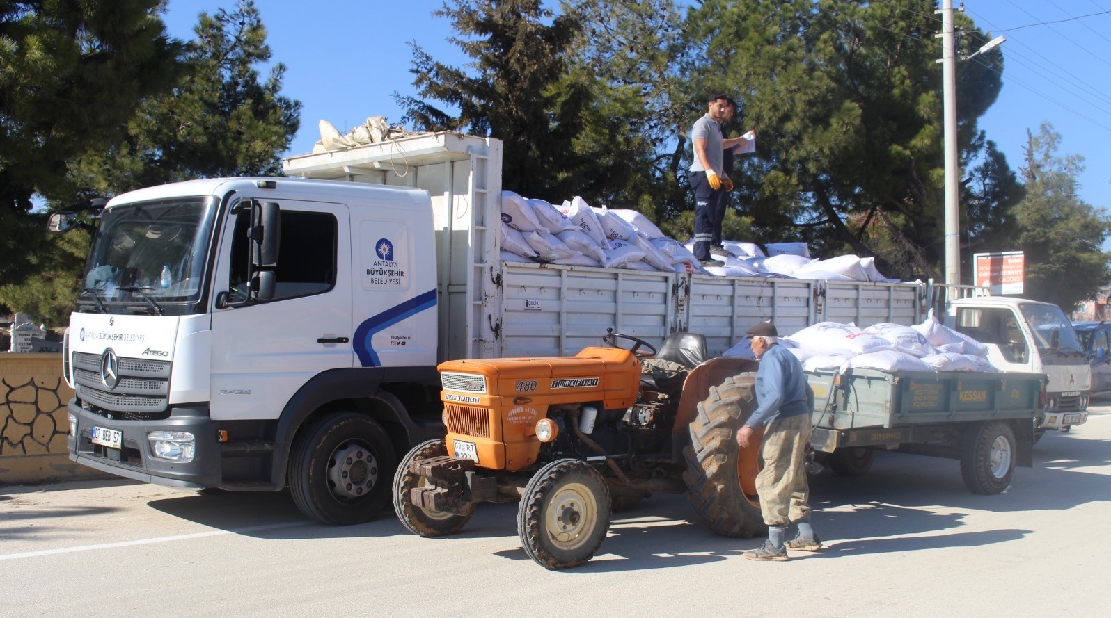 Büyükşehir’den üreticilere süt yem desteği
