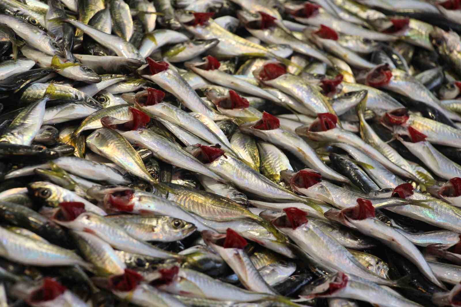 Sezonu bitmek &uuml;zere olan hamsi 150 liradan satışta
