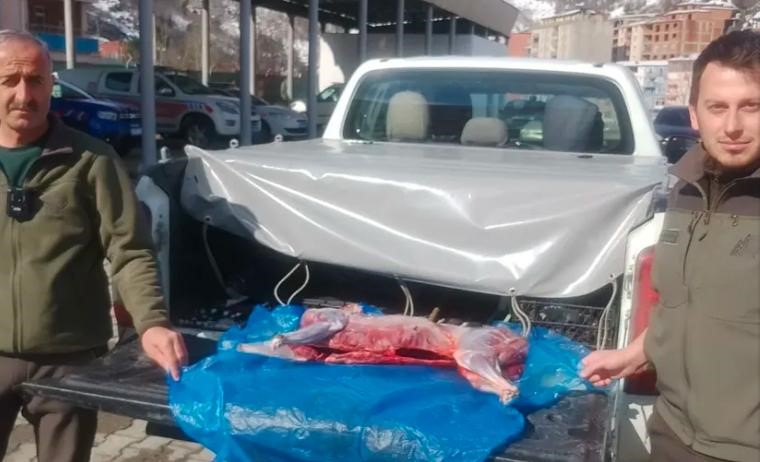 Artvin&rsquo;de ka&ccedil;ak avcılar su&ccedil;&uuml;st&uuml; yakalandı
