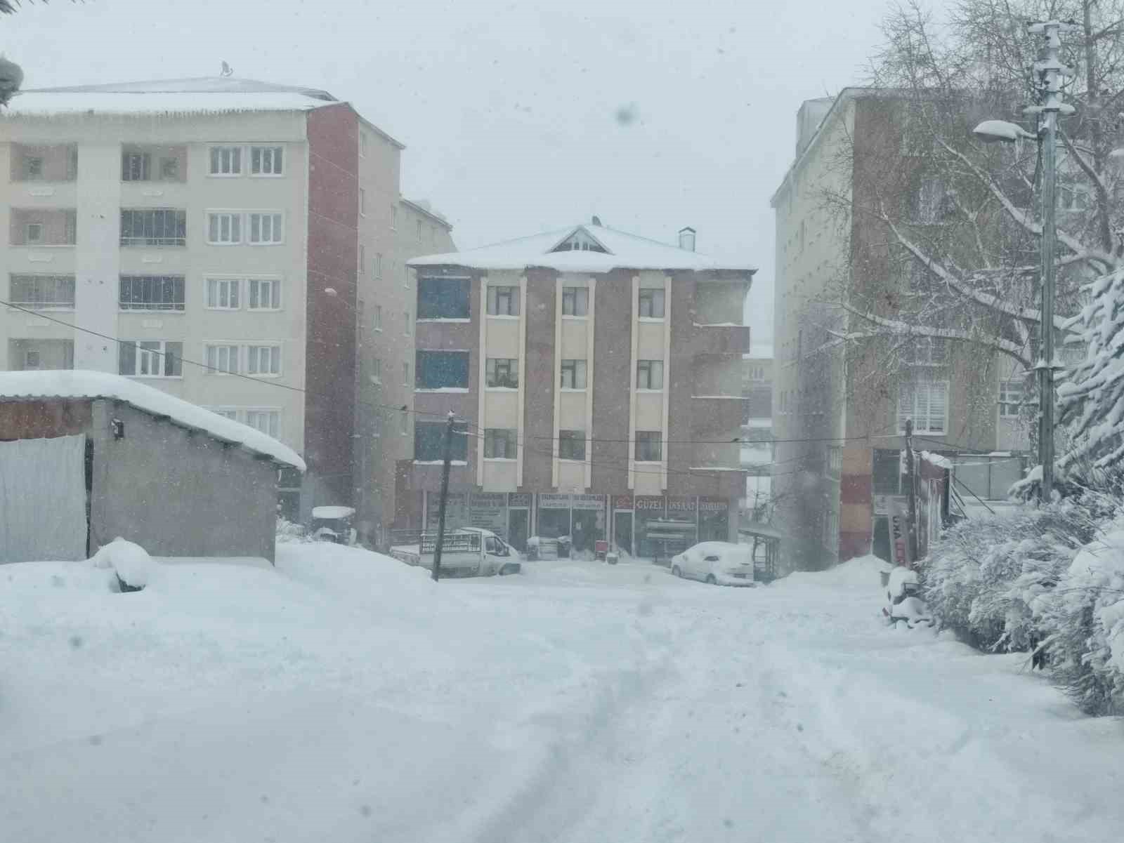 Ardahan&rsquo;da 10 k&ouml;ye ulaşım sağlanamıyor
