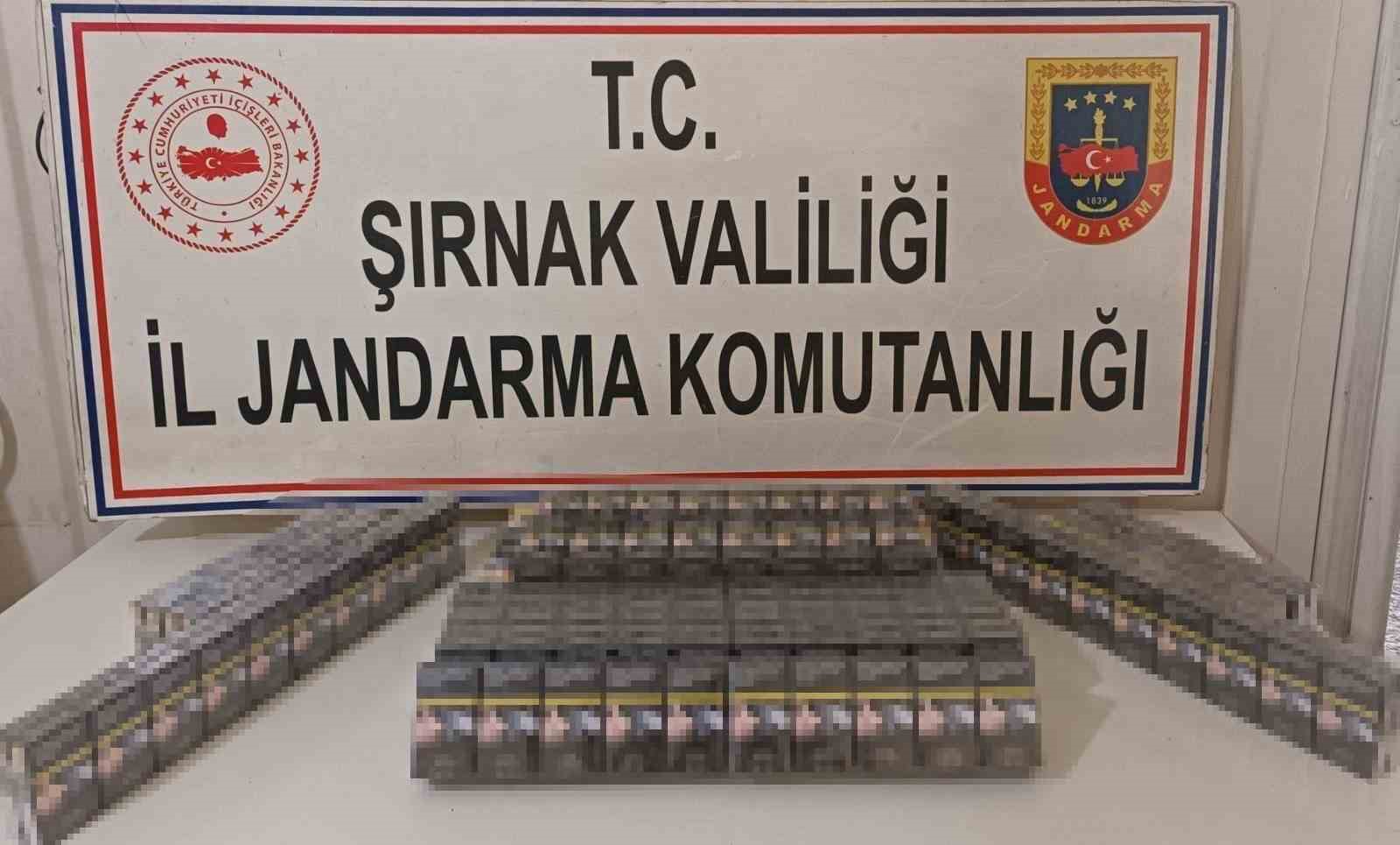 Şırnak’ta 3 milyon 790 bin lira değerinde gümrük kaçağı malzeme ele geçirildi