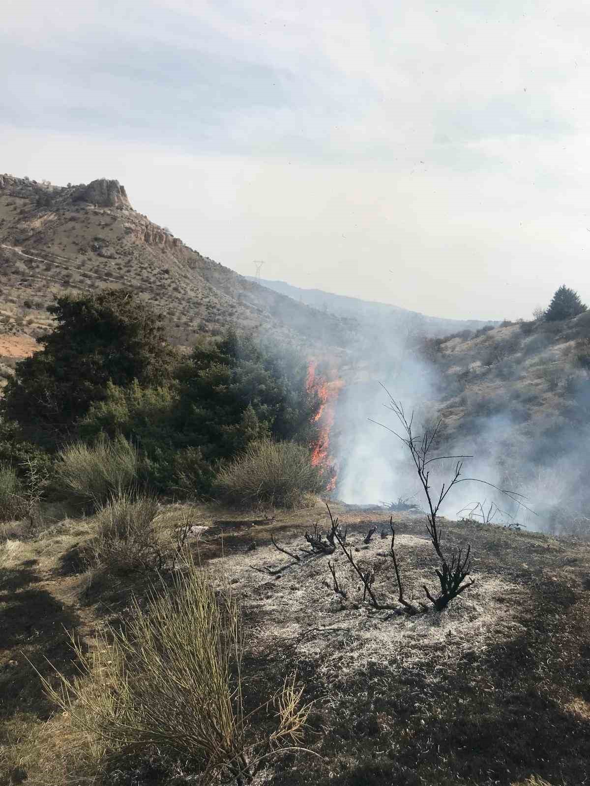 Mardin’de çıkan ot yangını söndürüldü
