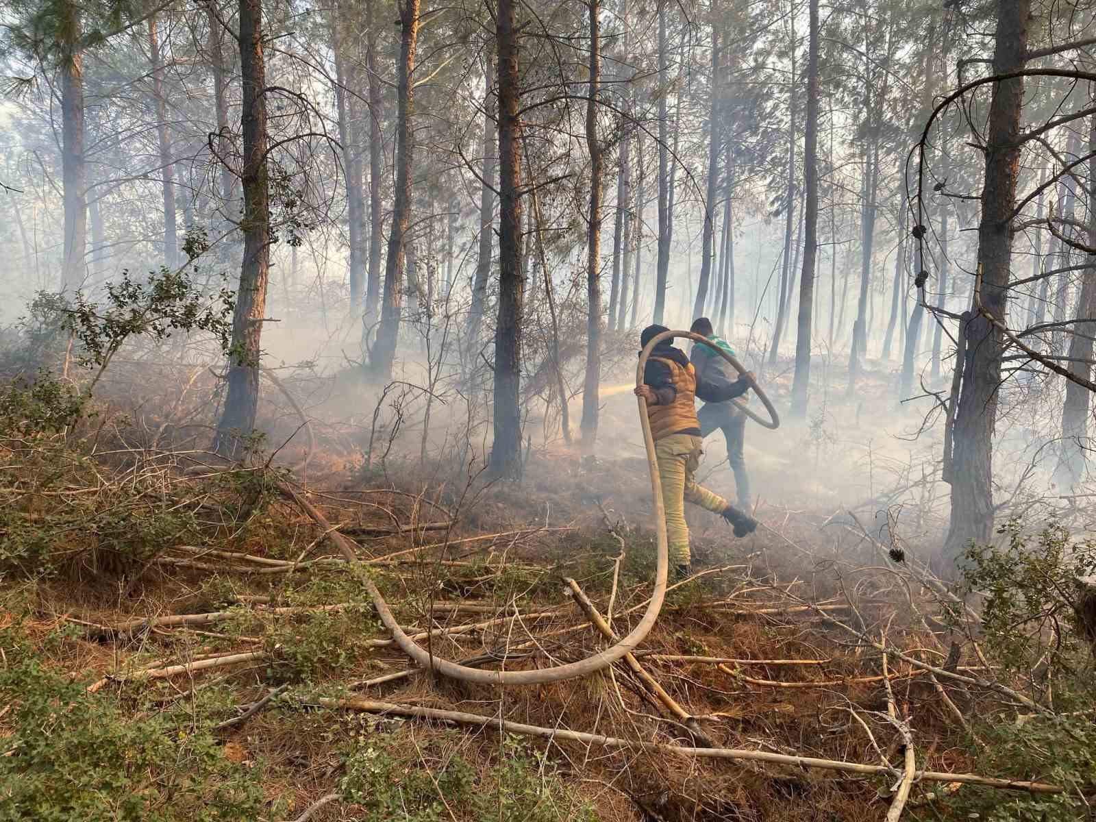 Osmaniye’de çıkan orman yangını söndürüldü