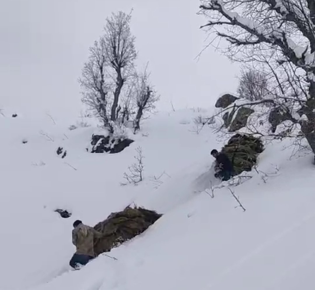 Hakkari’de besicilerin zorlu kış mesaisi