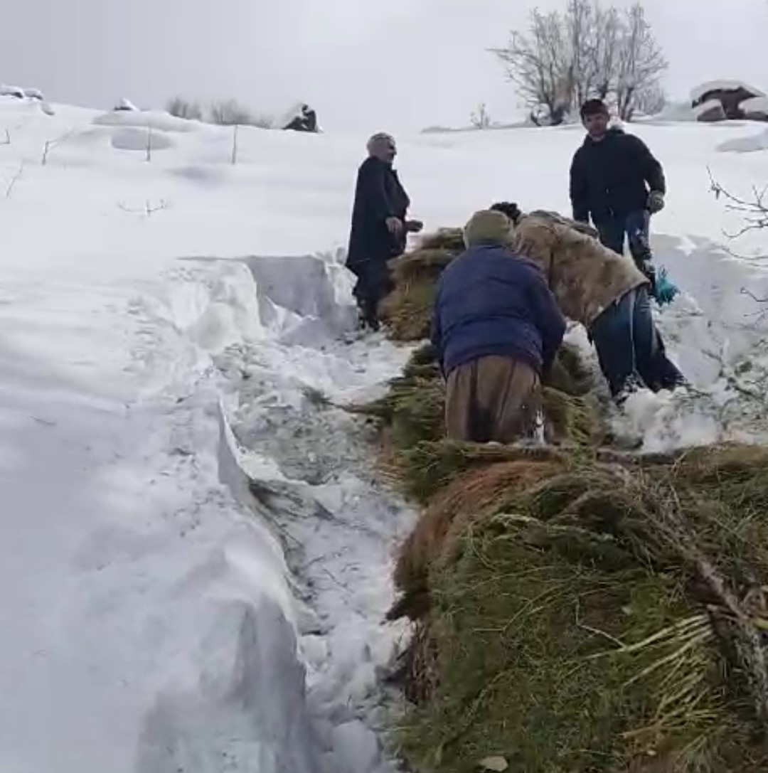 Hakkari&rsquo;de besicilerin zorlu kış mesaisi
