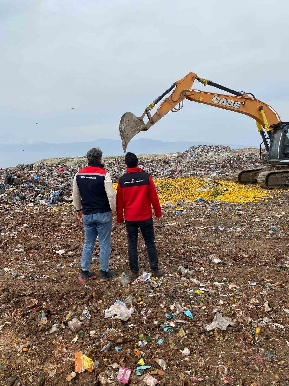 Επικίνδυνα Τουρκικά λεμόνια 8 71 τόνοι λεμονιών προς εξαγωγή στο Ντουμπάι καταστράφηκαν μετά τον εντοπισμό φυτοφαρμάκων