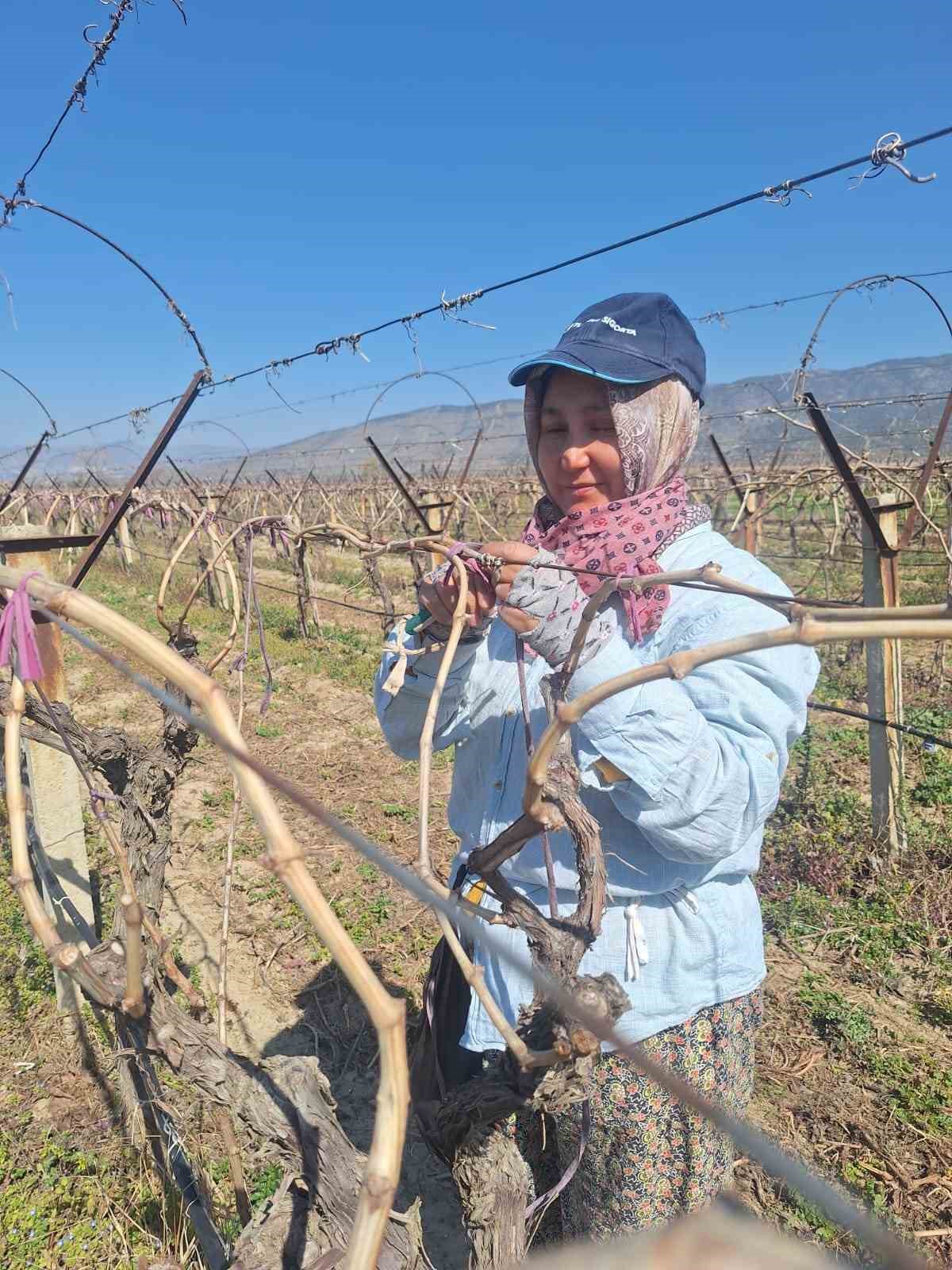 Ramazan ayında bağlarda hummalı &ccedil;alışma
