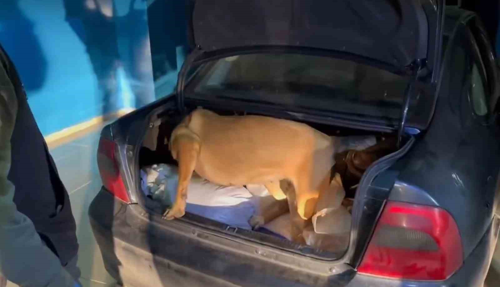 Bingöl’de uyuşturucu operasyonuna 2 gözaltı