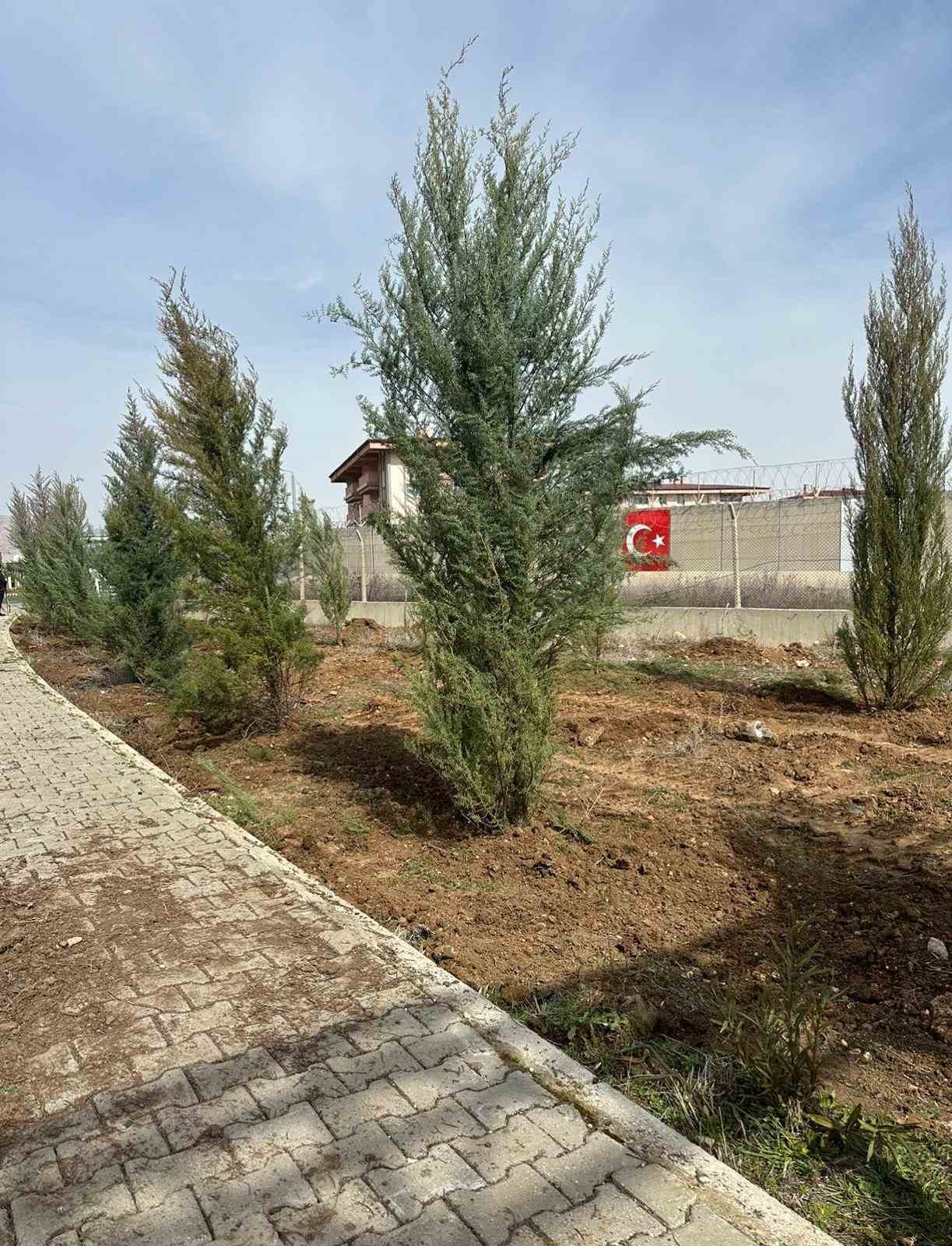 Şırnak Şerafettin Elçi Havalimanı’nda ağaçlandırma çalışması