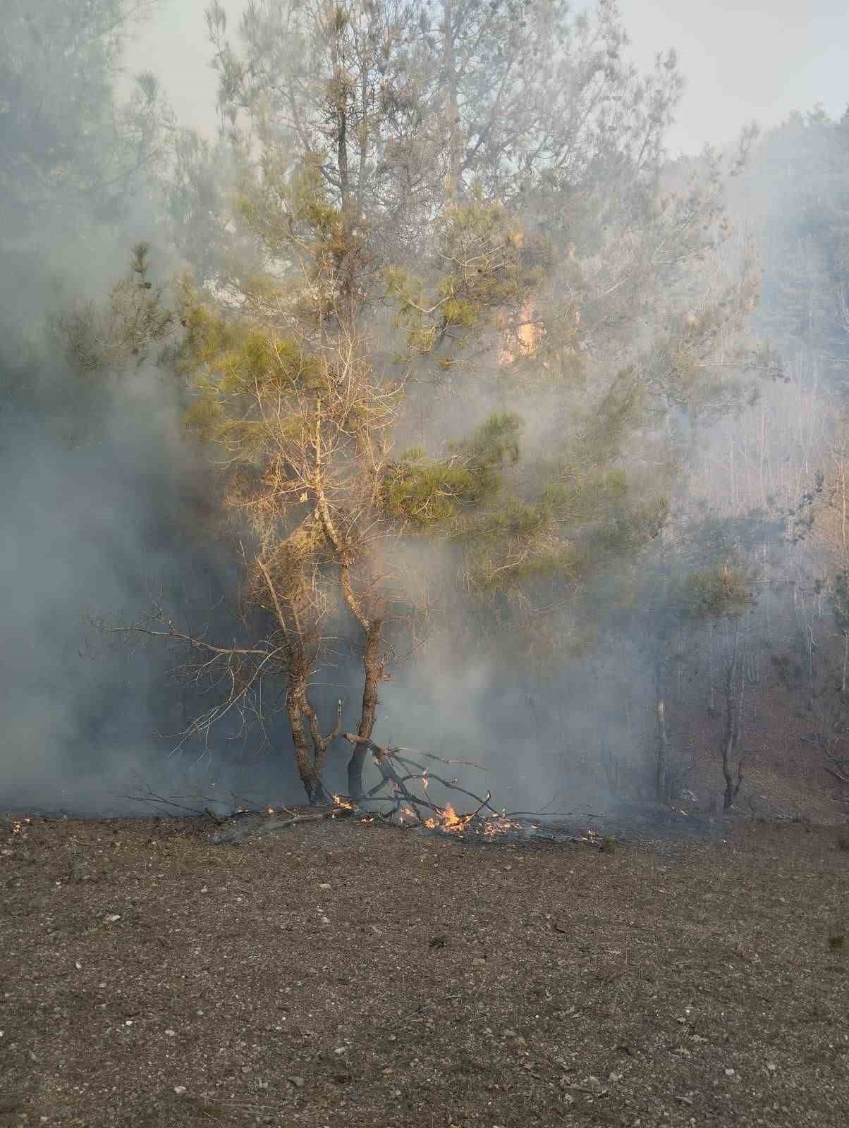 Osmaniye&rsquo;de &ccedil;ıkan orman yangını b&uuml;y&uuml;meden s&ouml;nd&uuml;r&uuml;ld&uuml;
