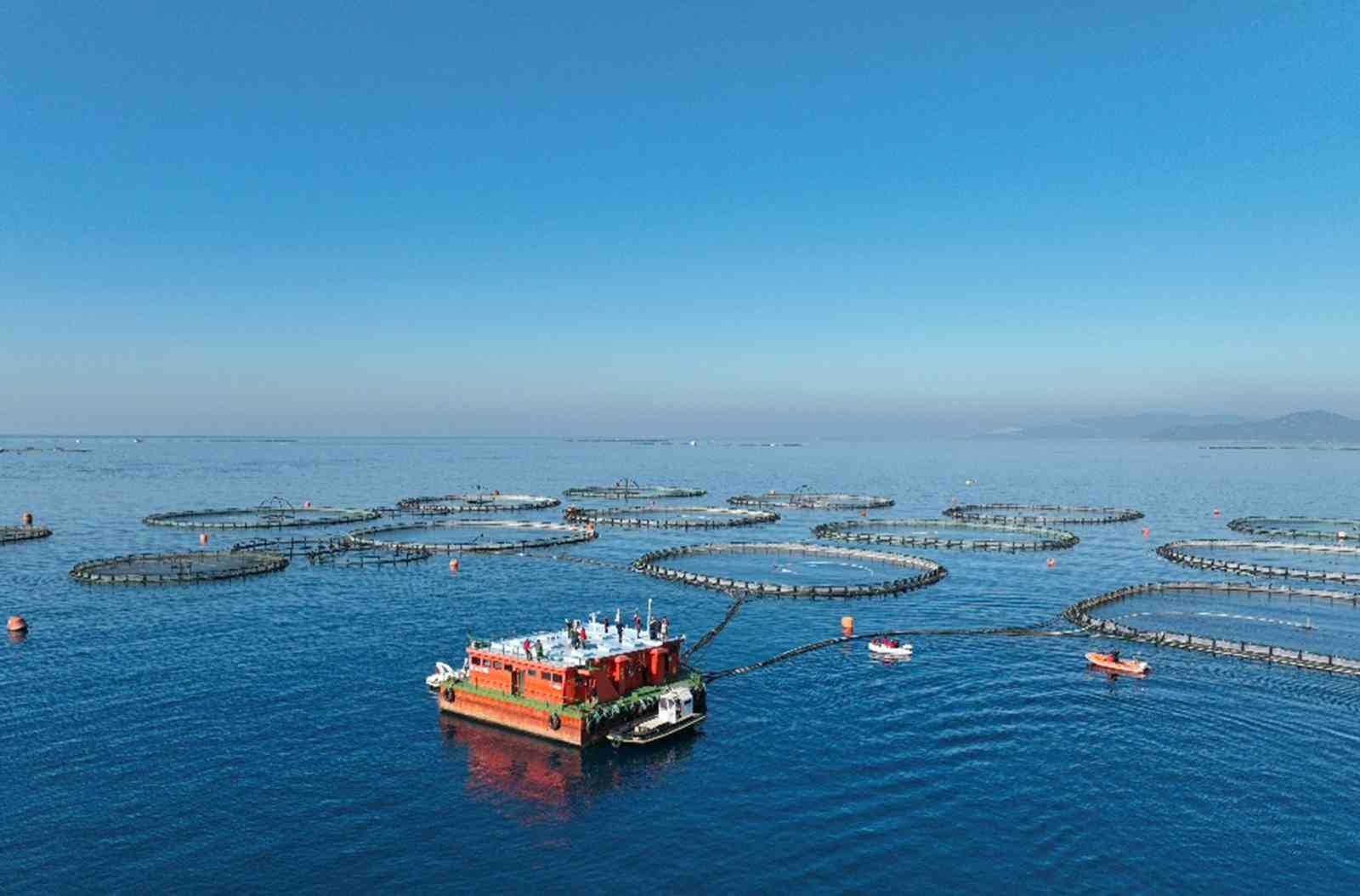 Muğla’nın Şubat ayı su ürünleri ihracatı 86,3 milyon dolar