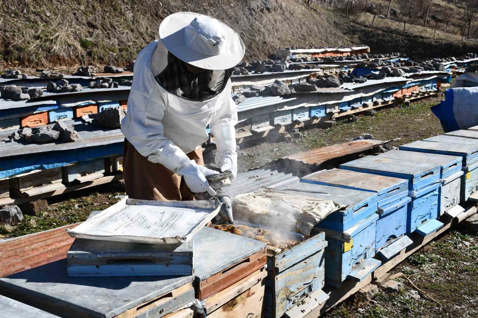 Bal donunca arılar a&ccedil; kaldı

