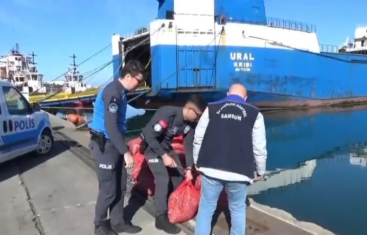 Samsun’da 1 ton 180 kilo kaçak midye ele geçirildi