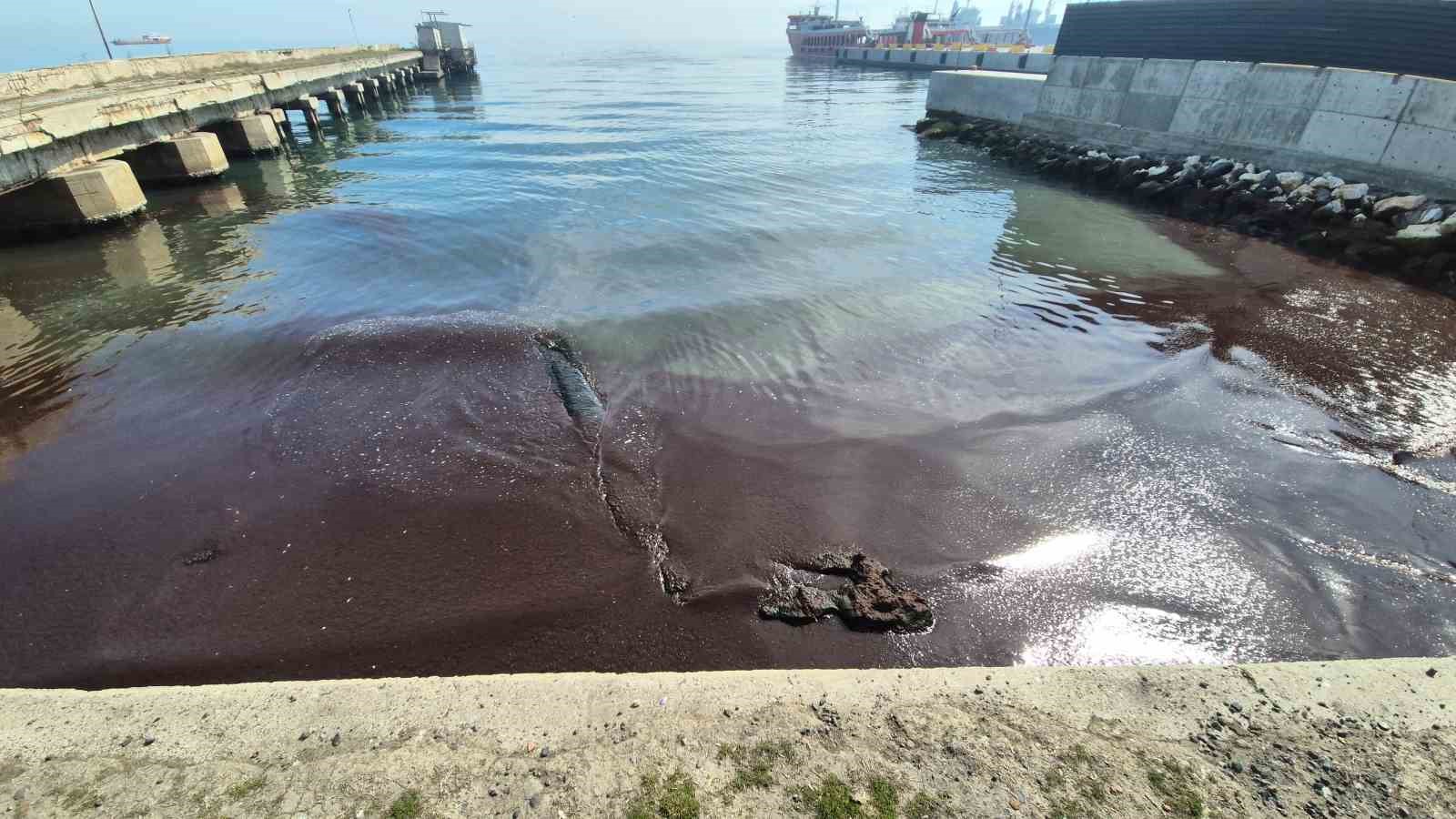 Tekirdağ&rsquo;da kıyılar kızıl yosunlarla kaplandı
