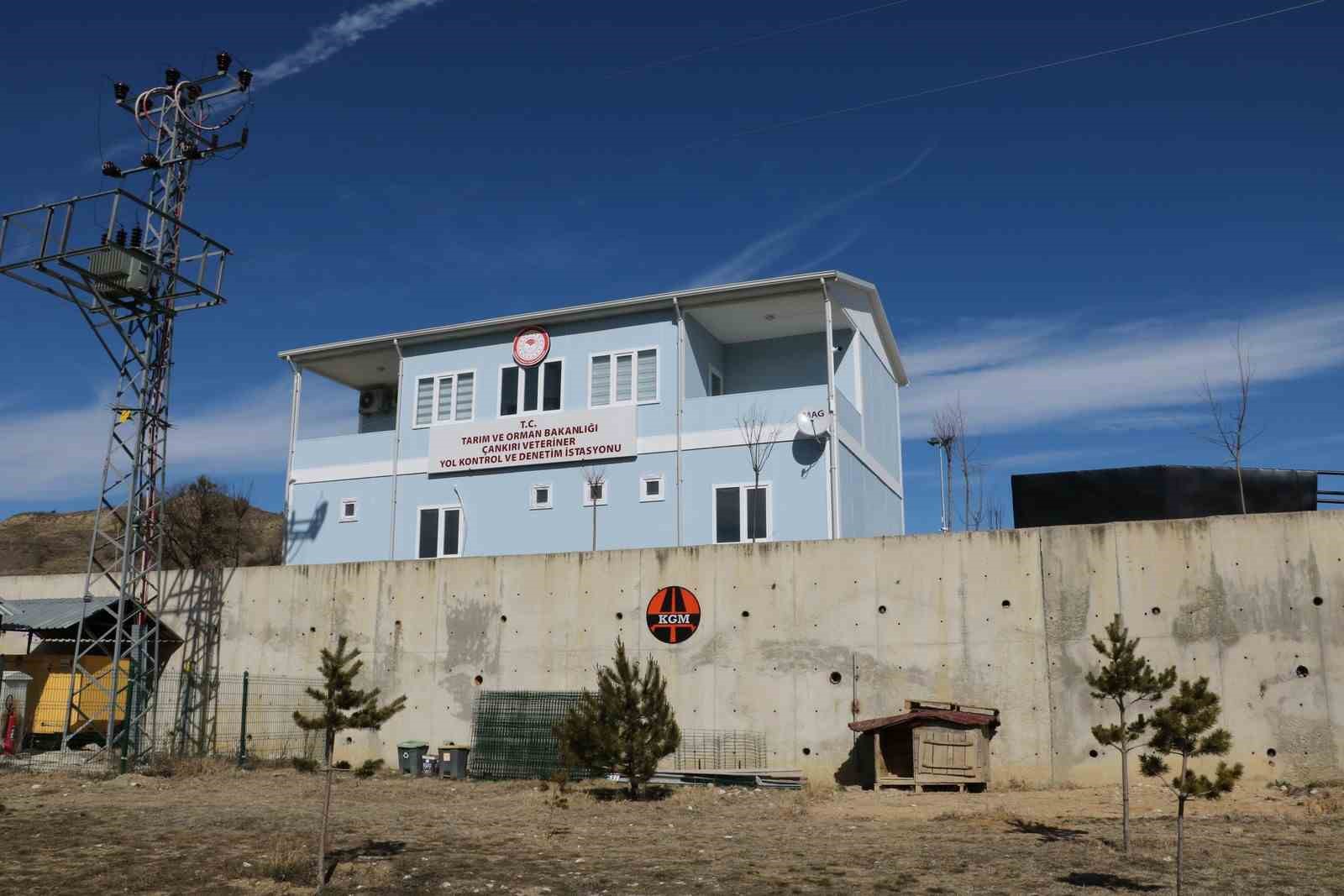 Çankırı’da kontrolsüz hayvan hareketleri denetlenecek