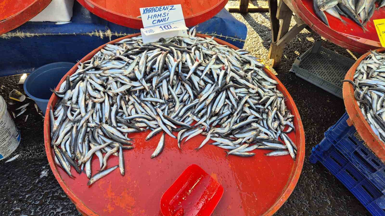 Tekirdağ&rsquo;da hamsi ve istavritin kilosu 100 liradan satıldı
