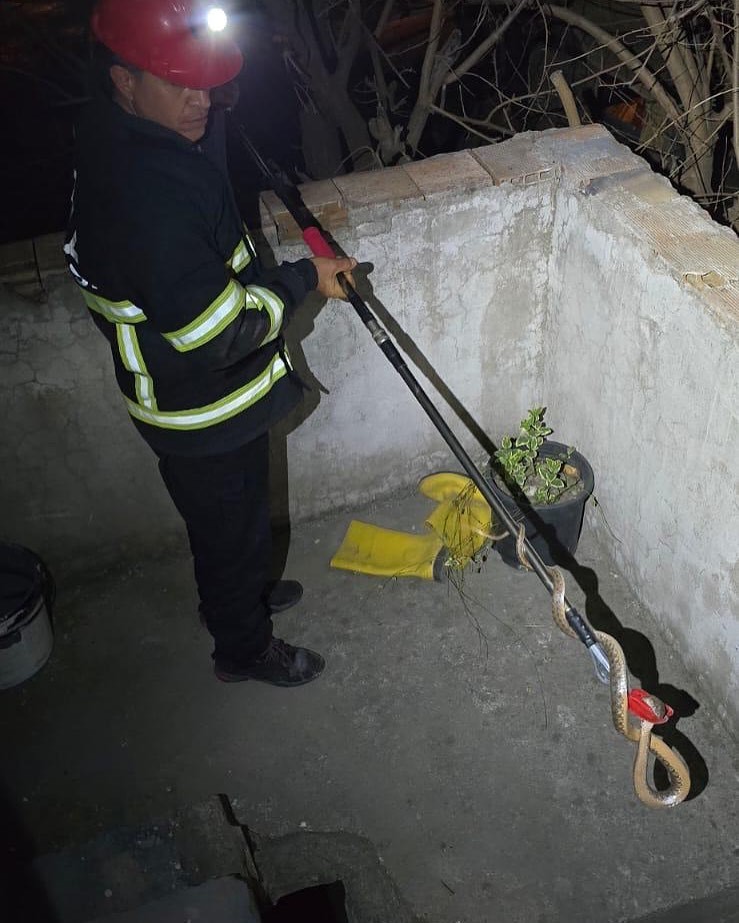 Dörtyol’da eve giren yılanı itfaiye yakaladı