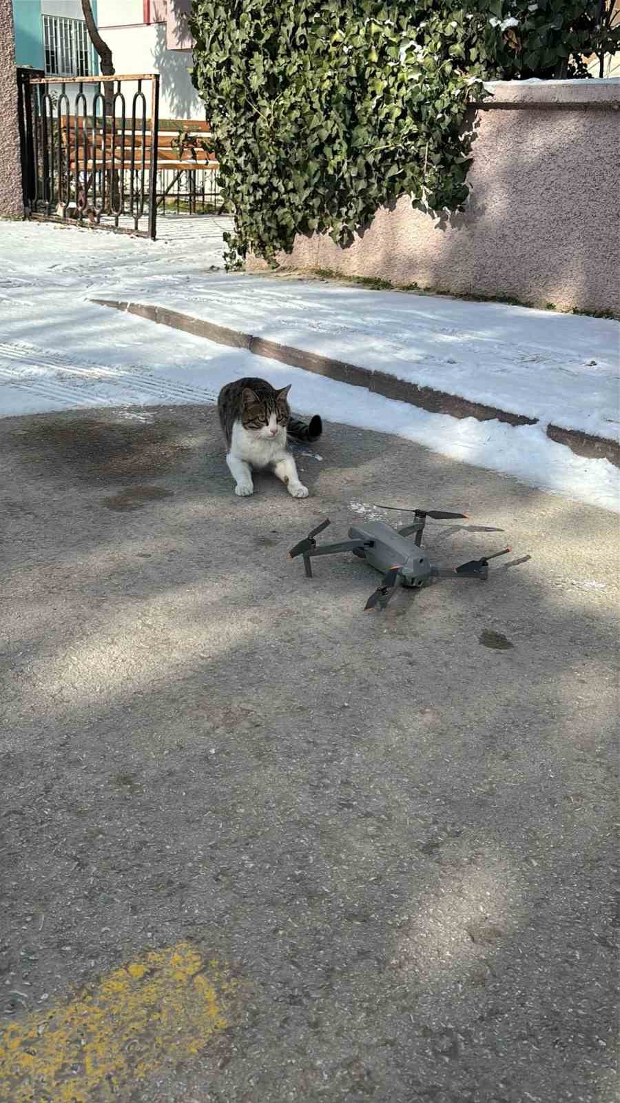 Konya’da dron ile karşılaşan kedi gülümsetti