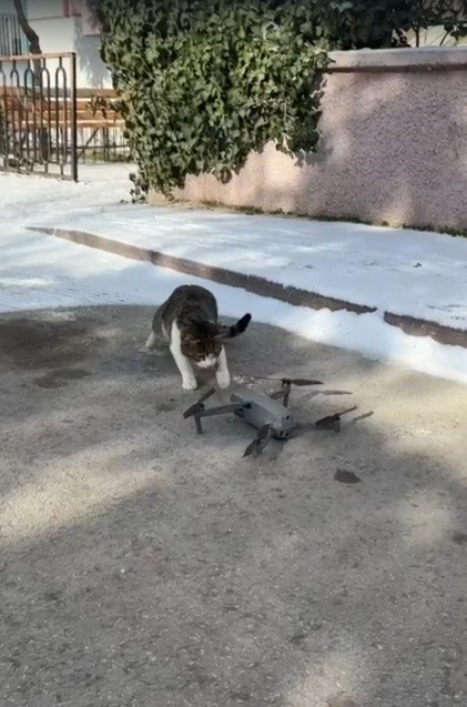 Konya’da dron ile karşılaşan kedi gülümsetti