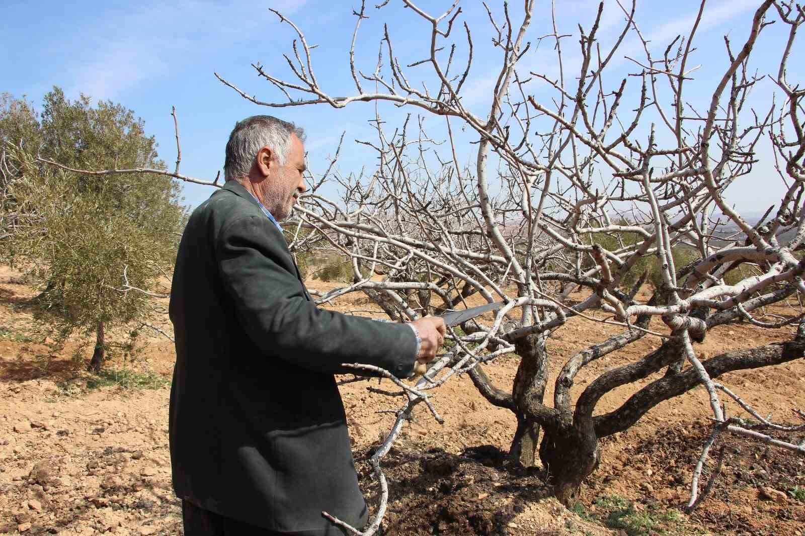 Gaziantep’te çiftçilerin umudu bahar yağmurlarında