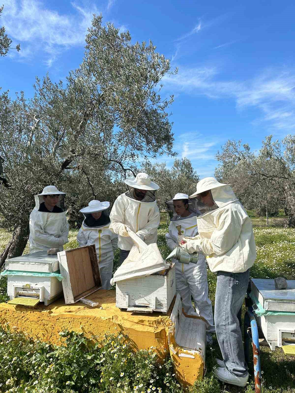 Havran MYO &ouml;ğrencilerine arıcılık eğitimi
