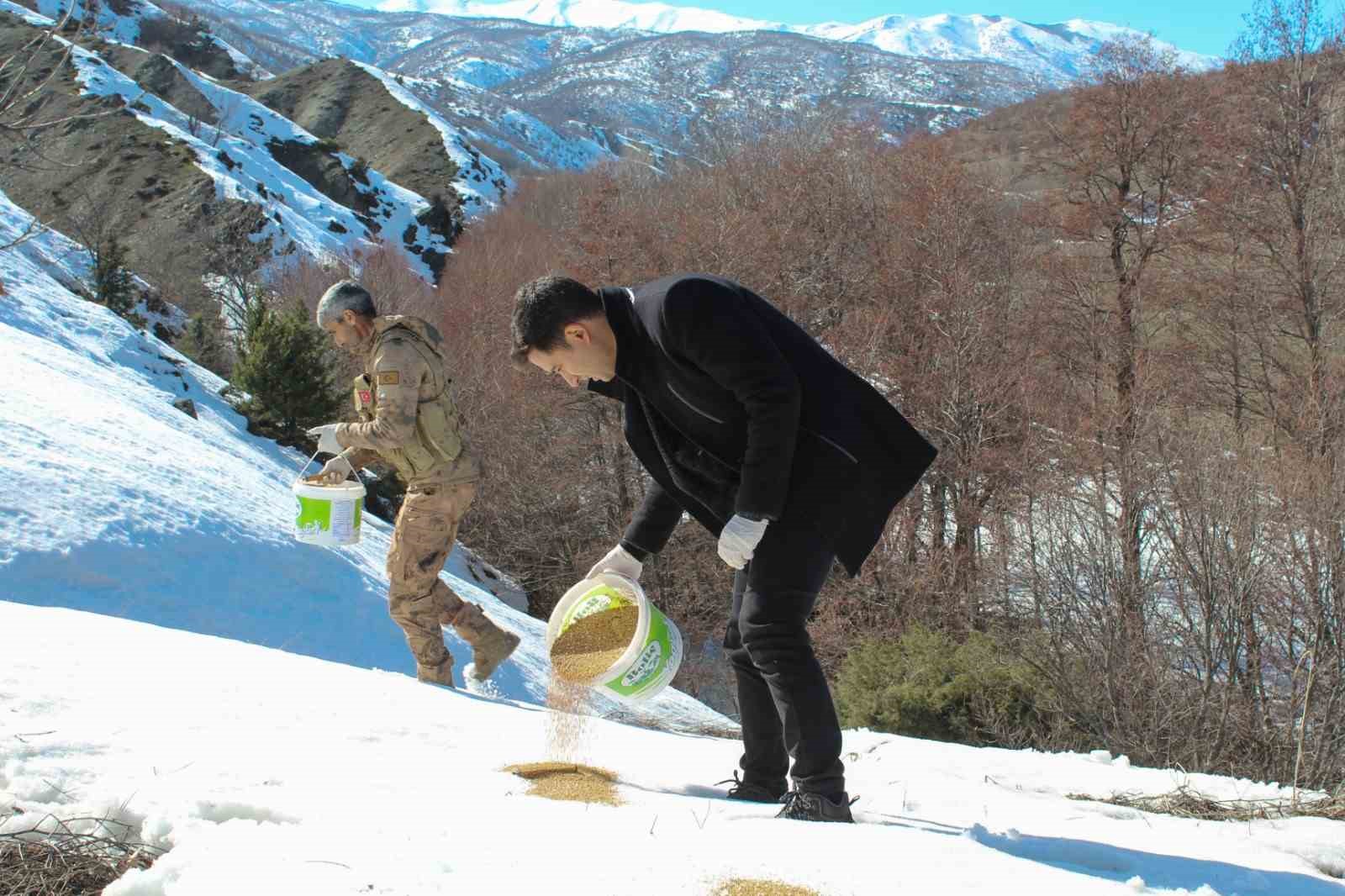 Genç’te yaban hayatı unutulmadı