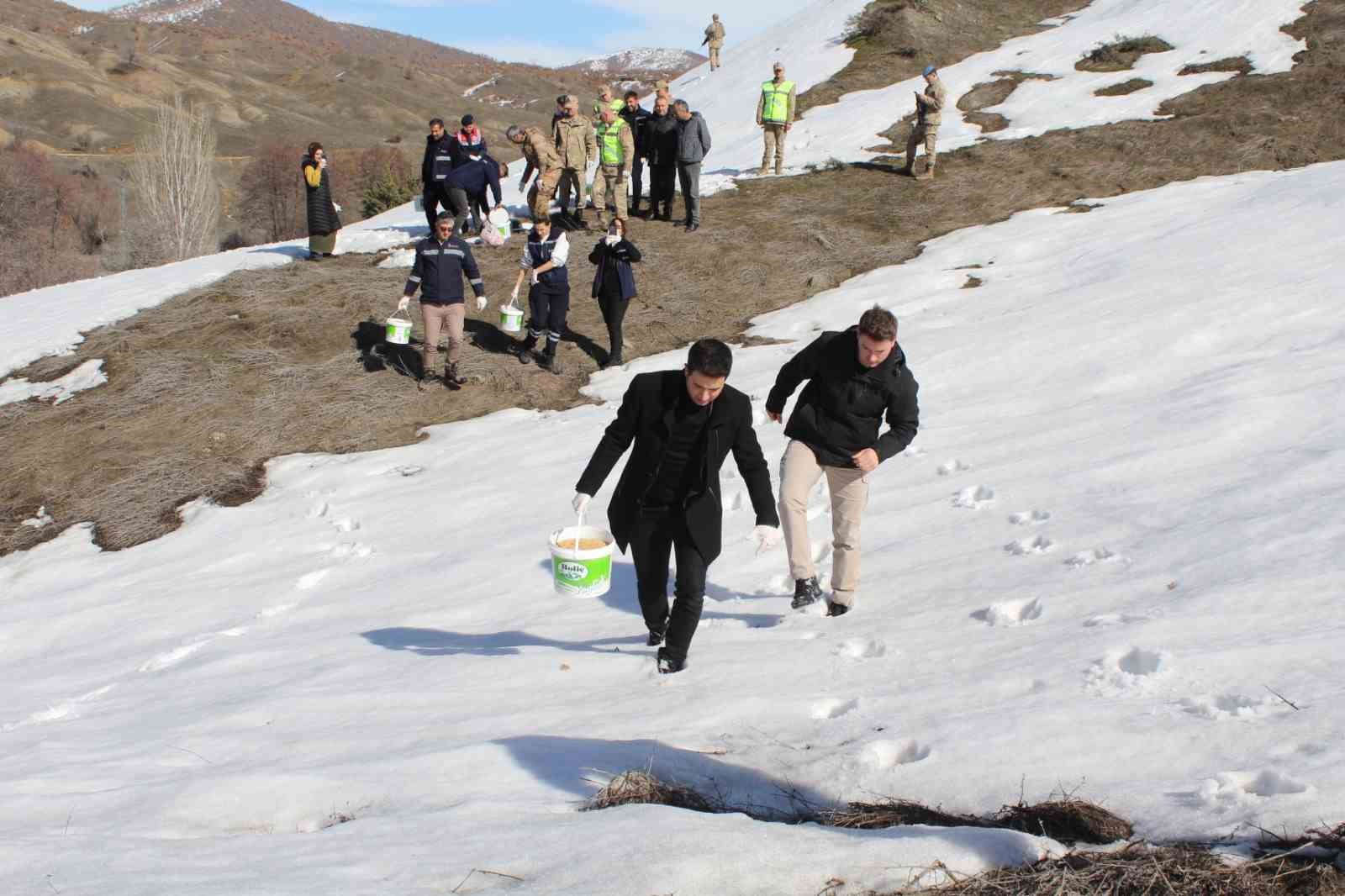 Gen&ccedil;&rsquo;te yaban hayatı unutulmadı
