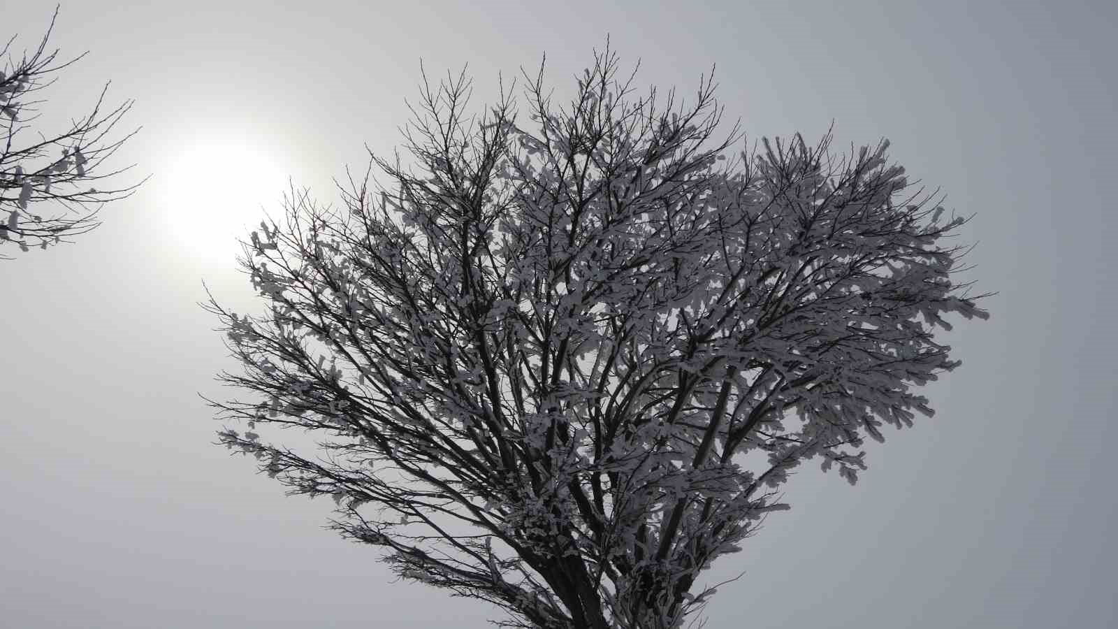 Tatvan-G&uuml;roymak yolunda yoğun sis
