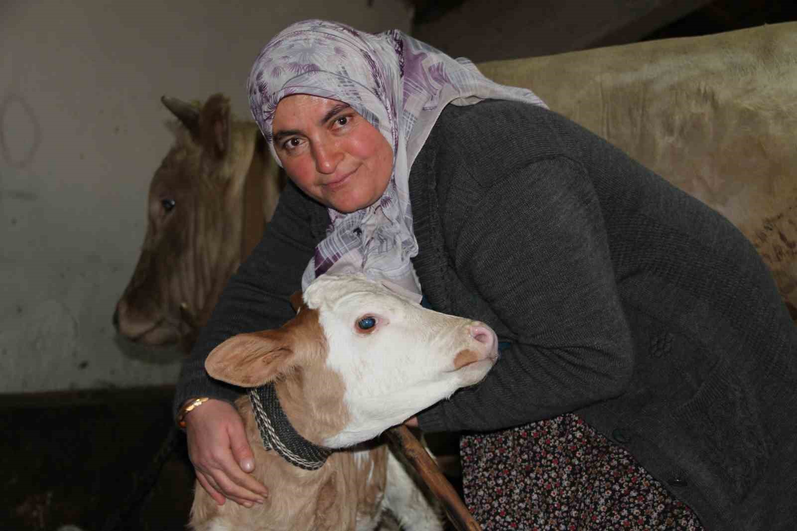 Fedakar anne: Çocuklarına bakar gibi hayvanlarını besleyip ailesine destek oluyor