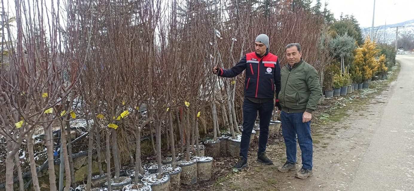 Fidan satış noktalarında denetim