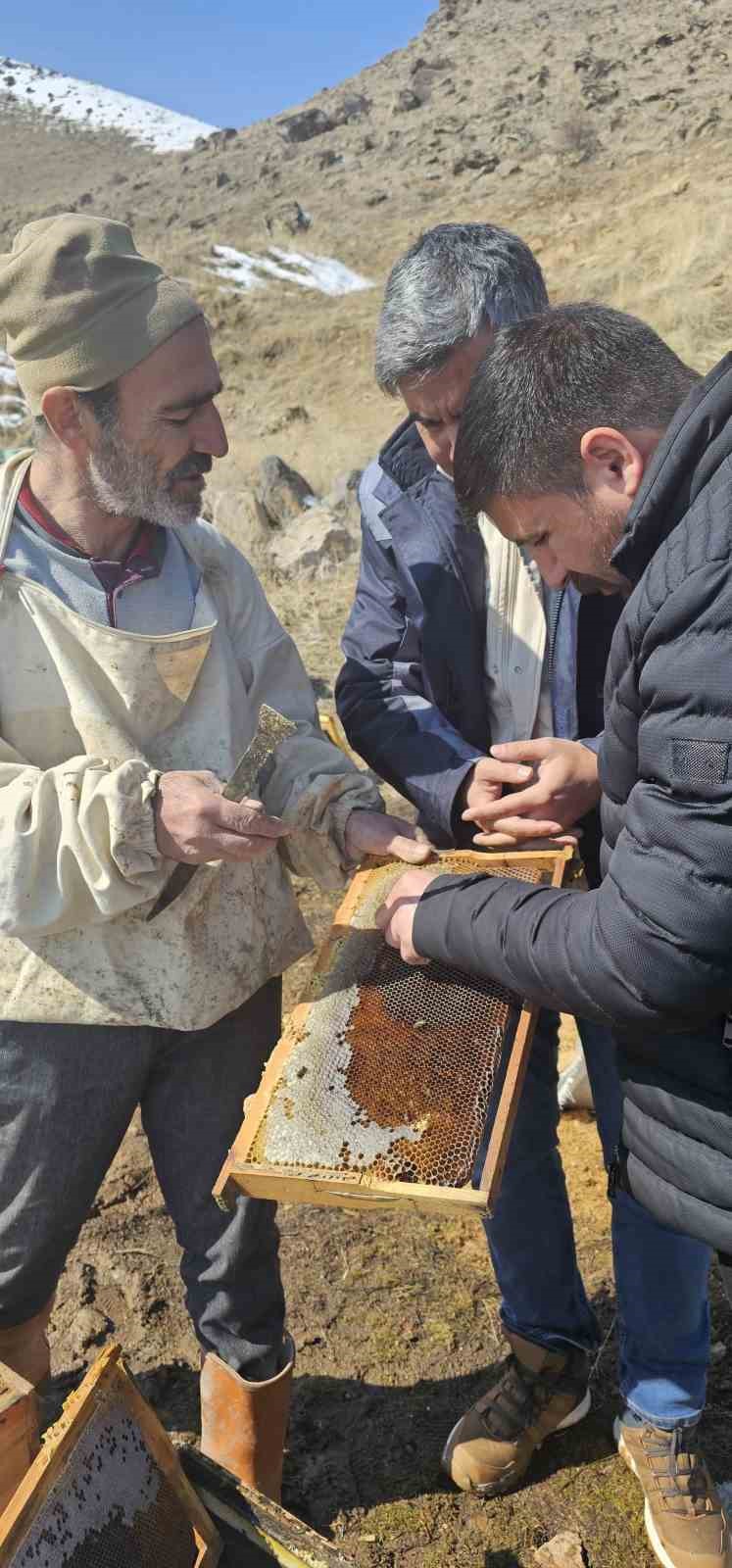 Van&rsquo;da 100 kovan arı telef oldu
