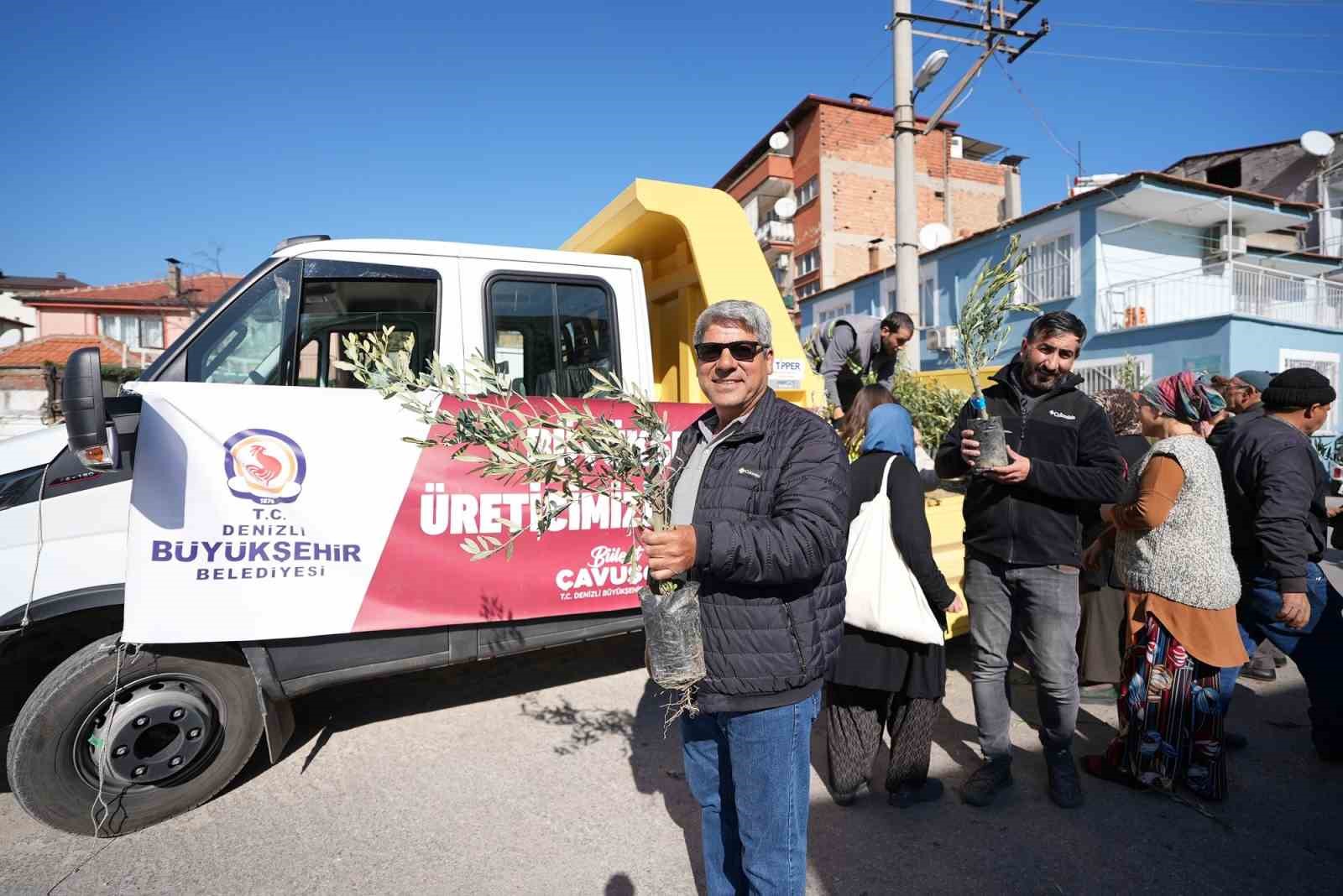 Denizli Büyükşehirden zeytin fidanı seferberliği